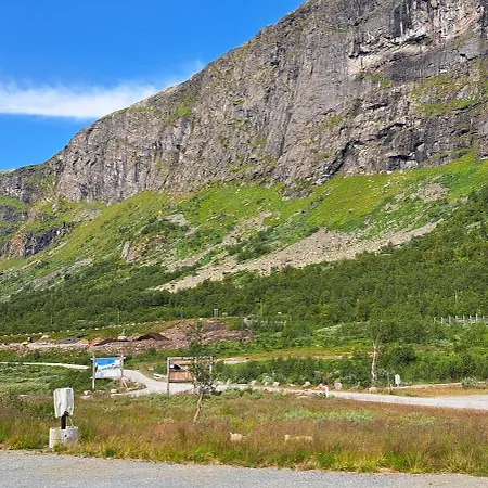 Borrenoset Rett Ut I Naturen * Tyinkrysset